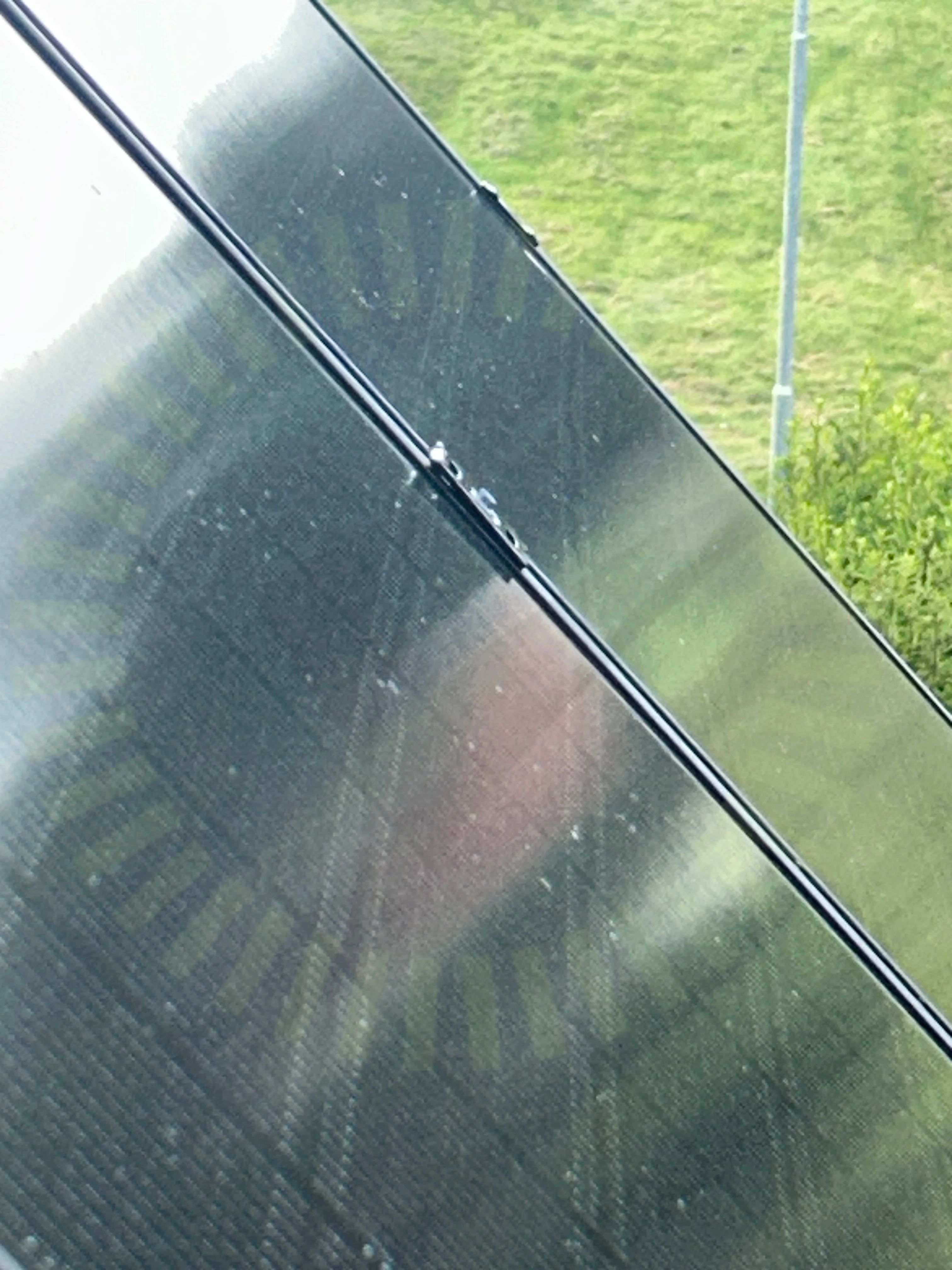 Mittklämmor
