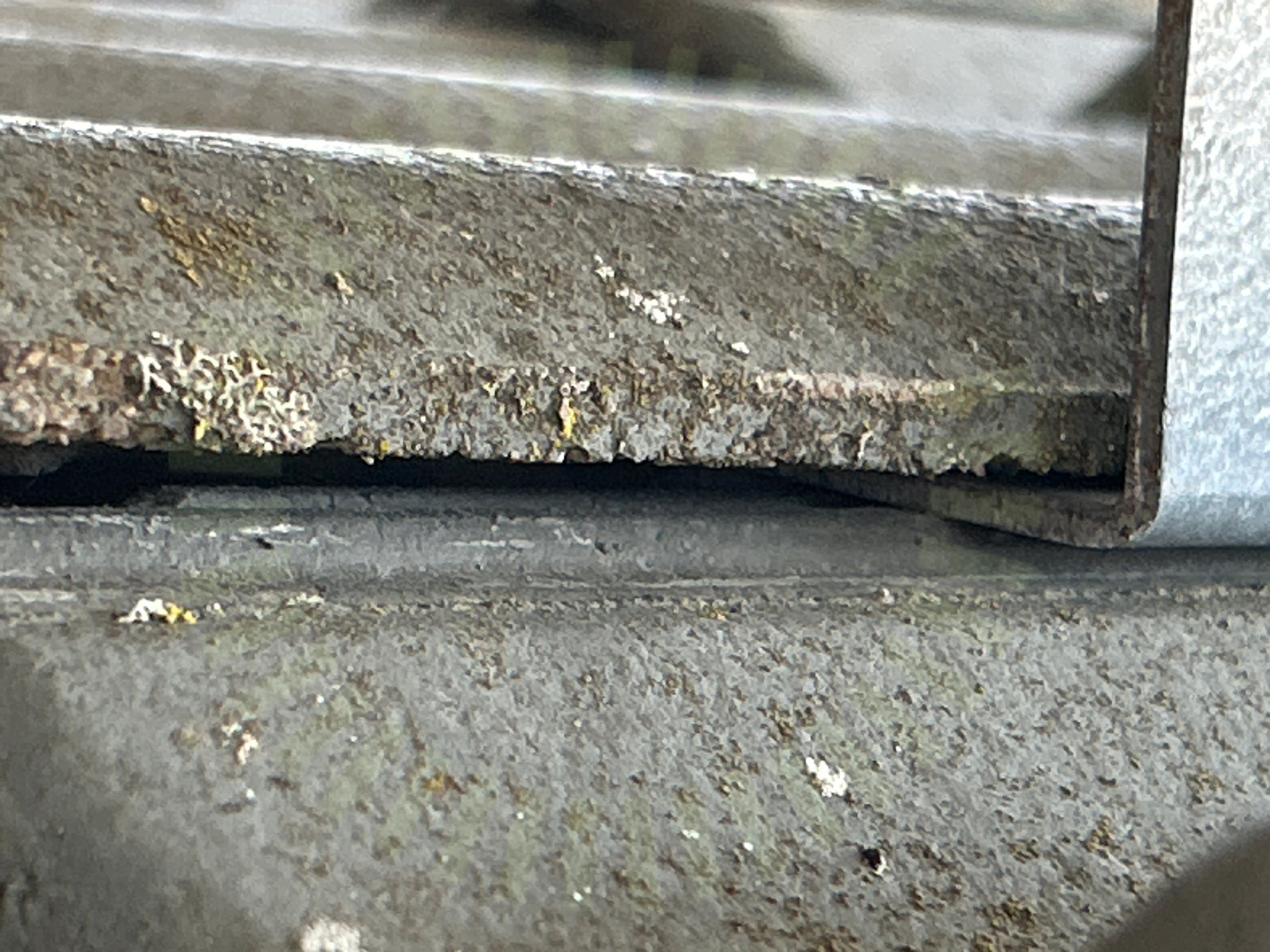 Underliggande takpanna