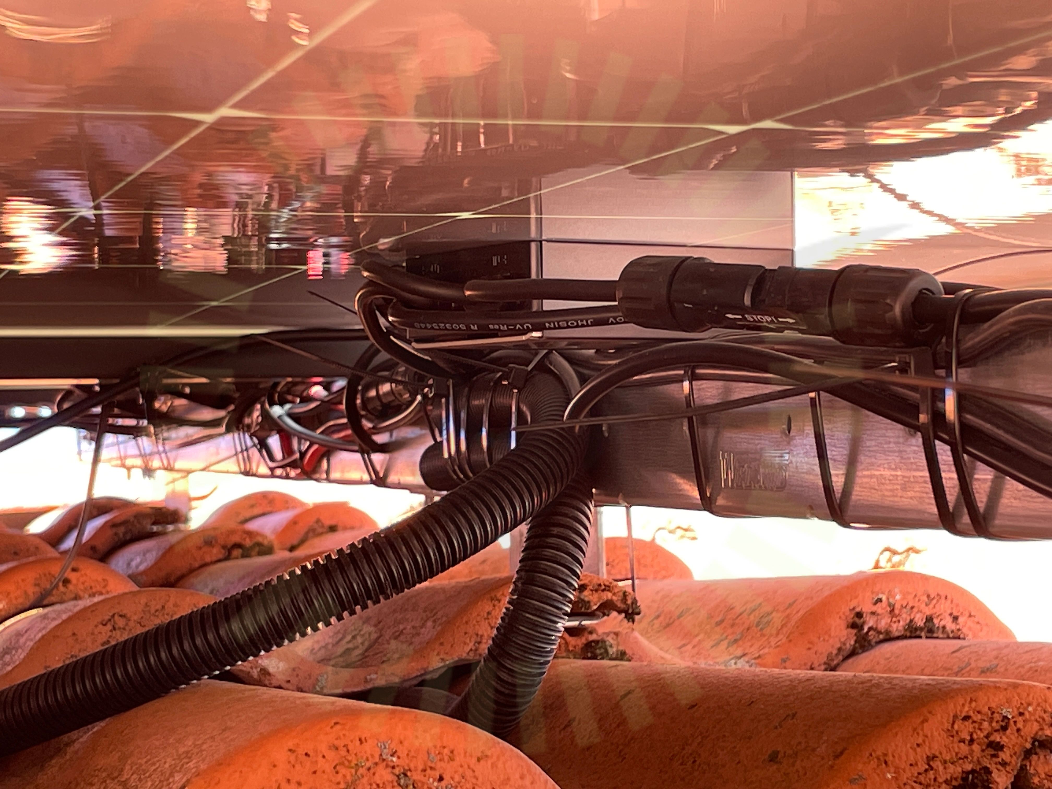 Protokollbild