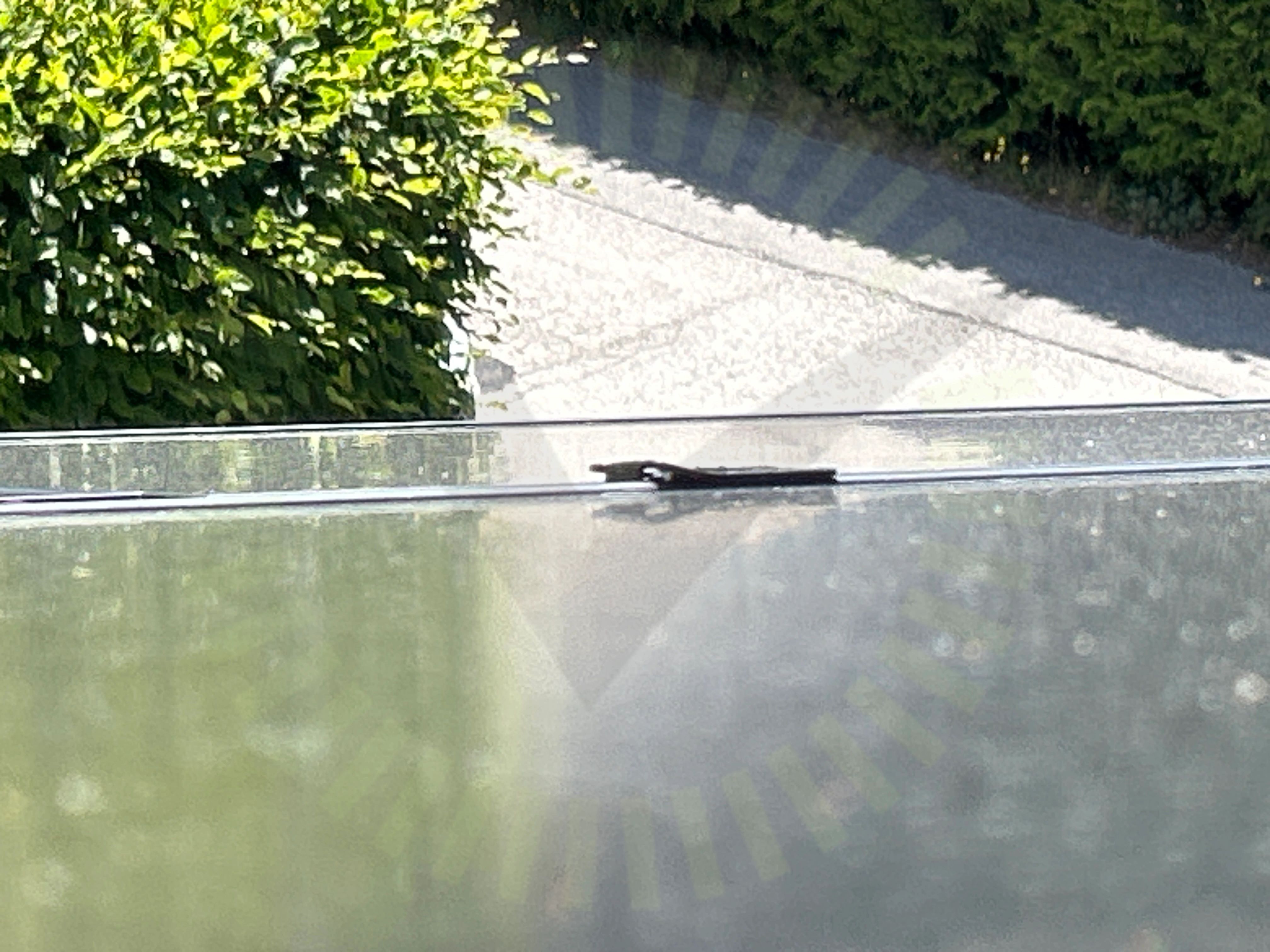 Mittklämmor