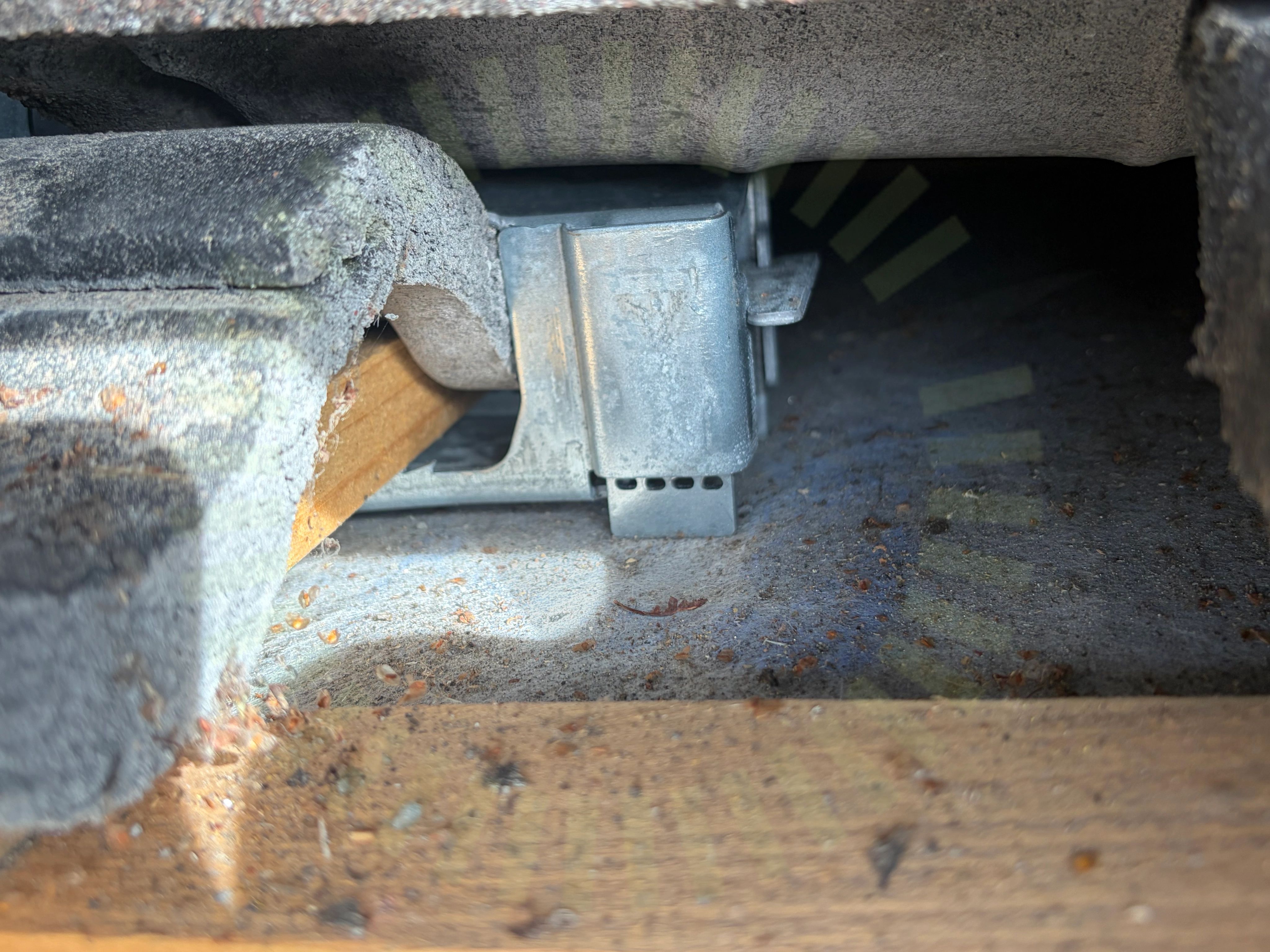 Bärläktens dimension