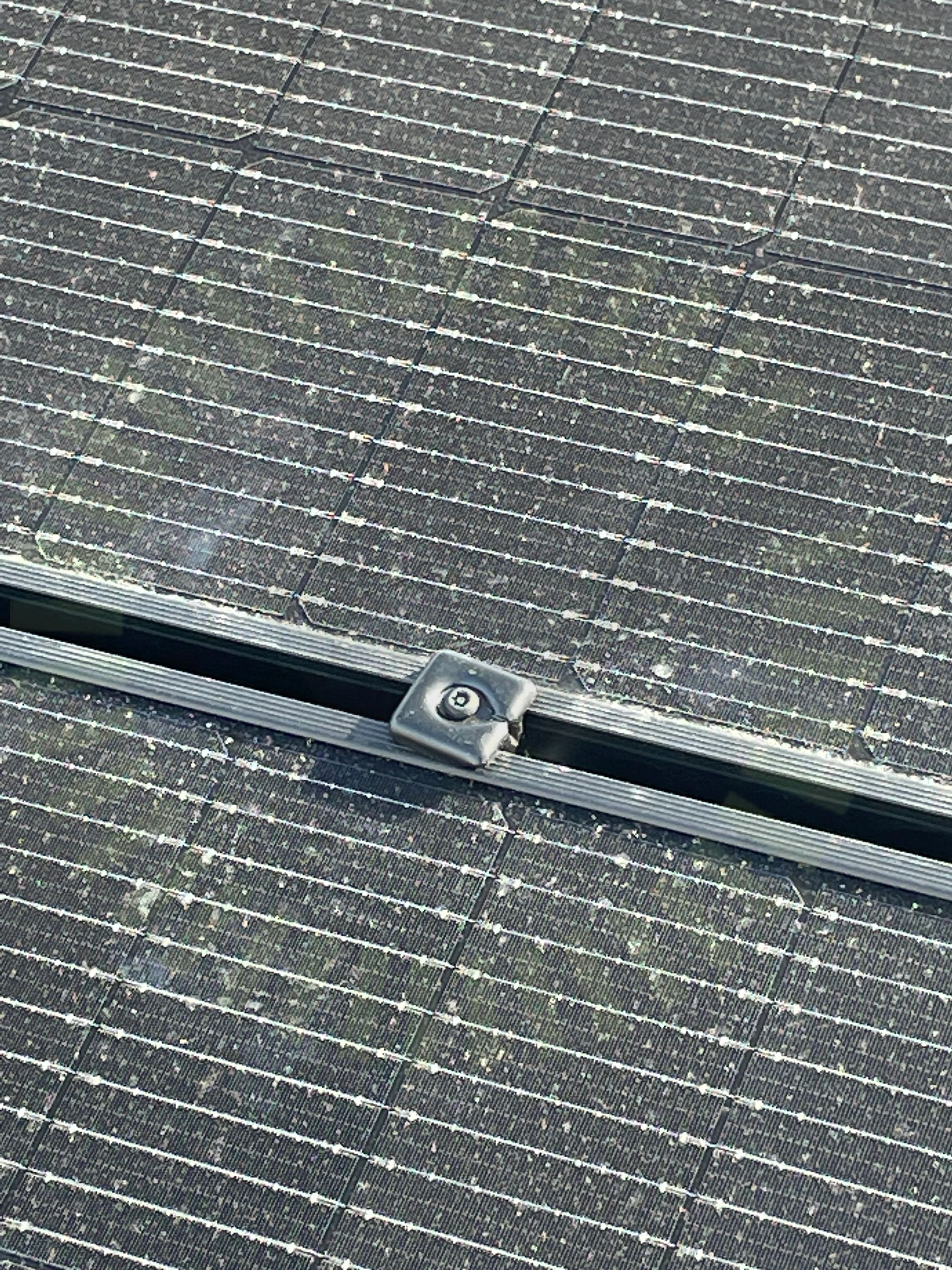 Mittklämmor