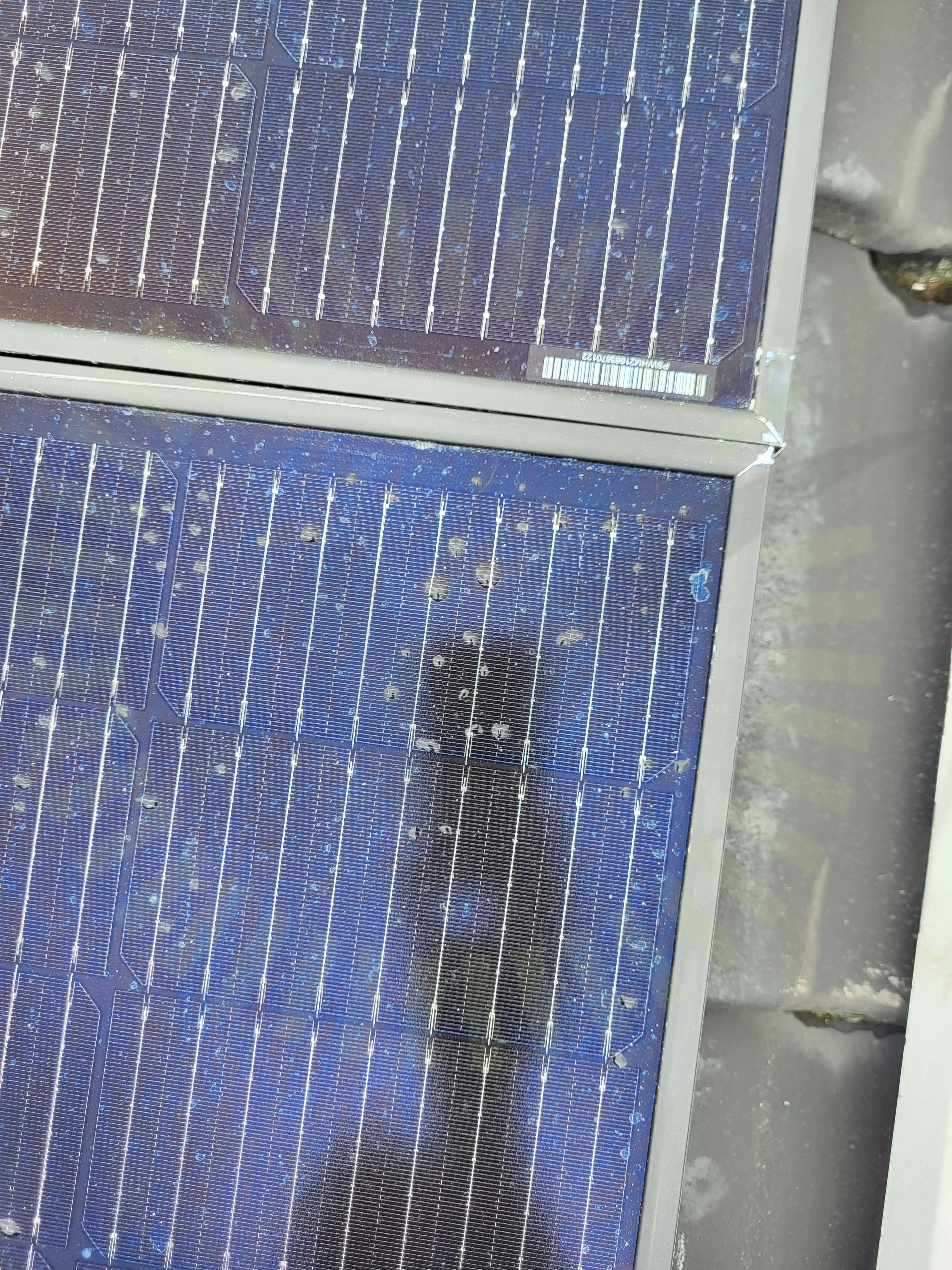 Panel separerade