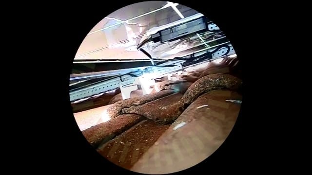 Protokollbild