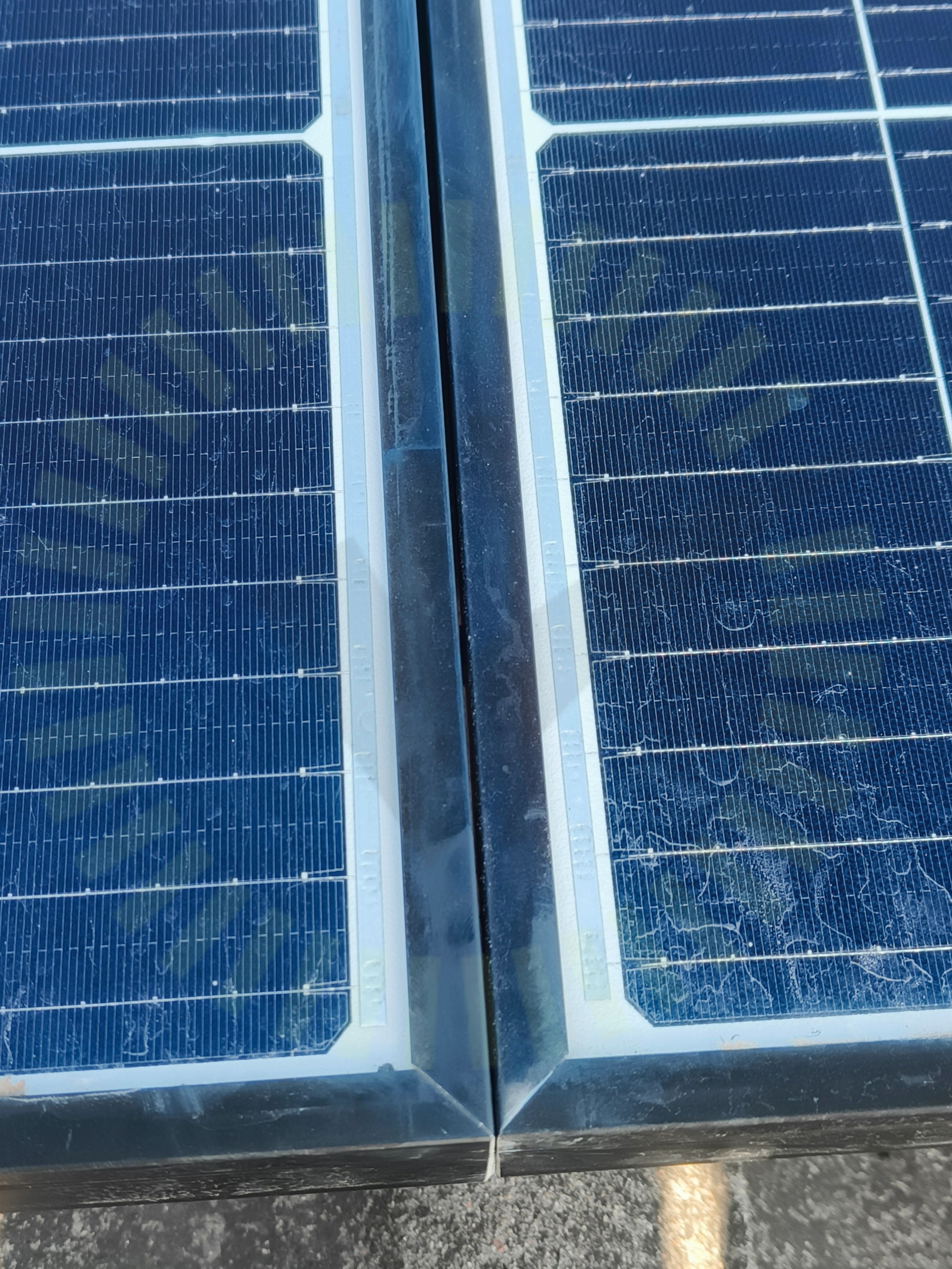 Protokollbild