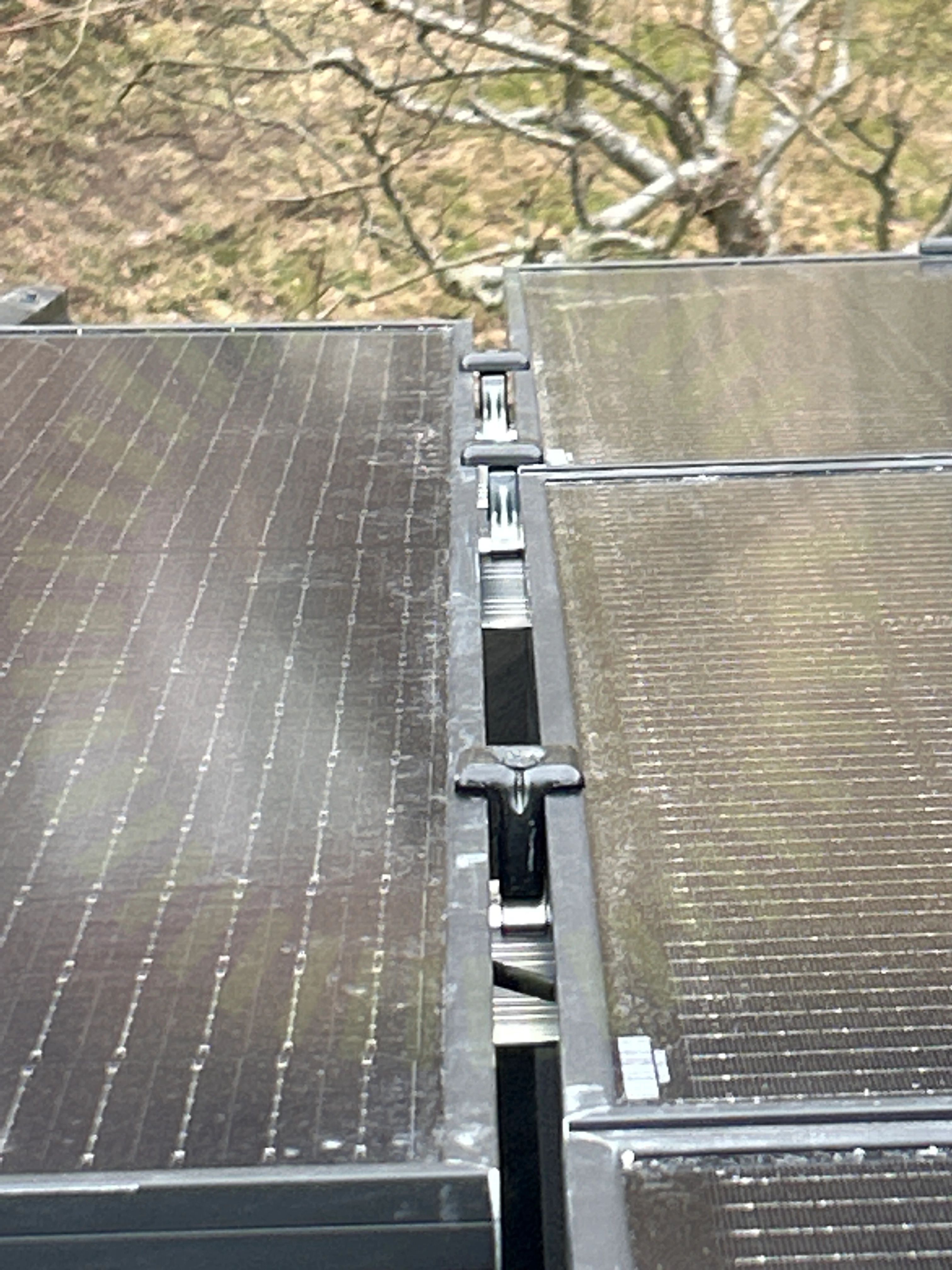 Mittklämmor