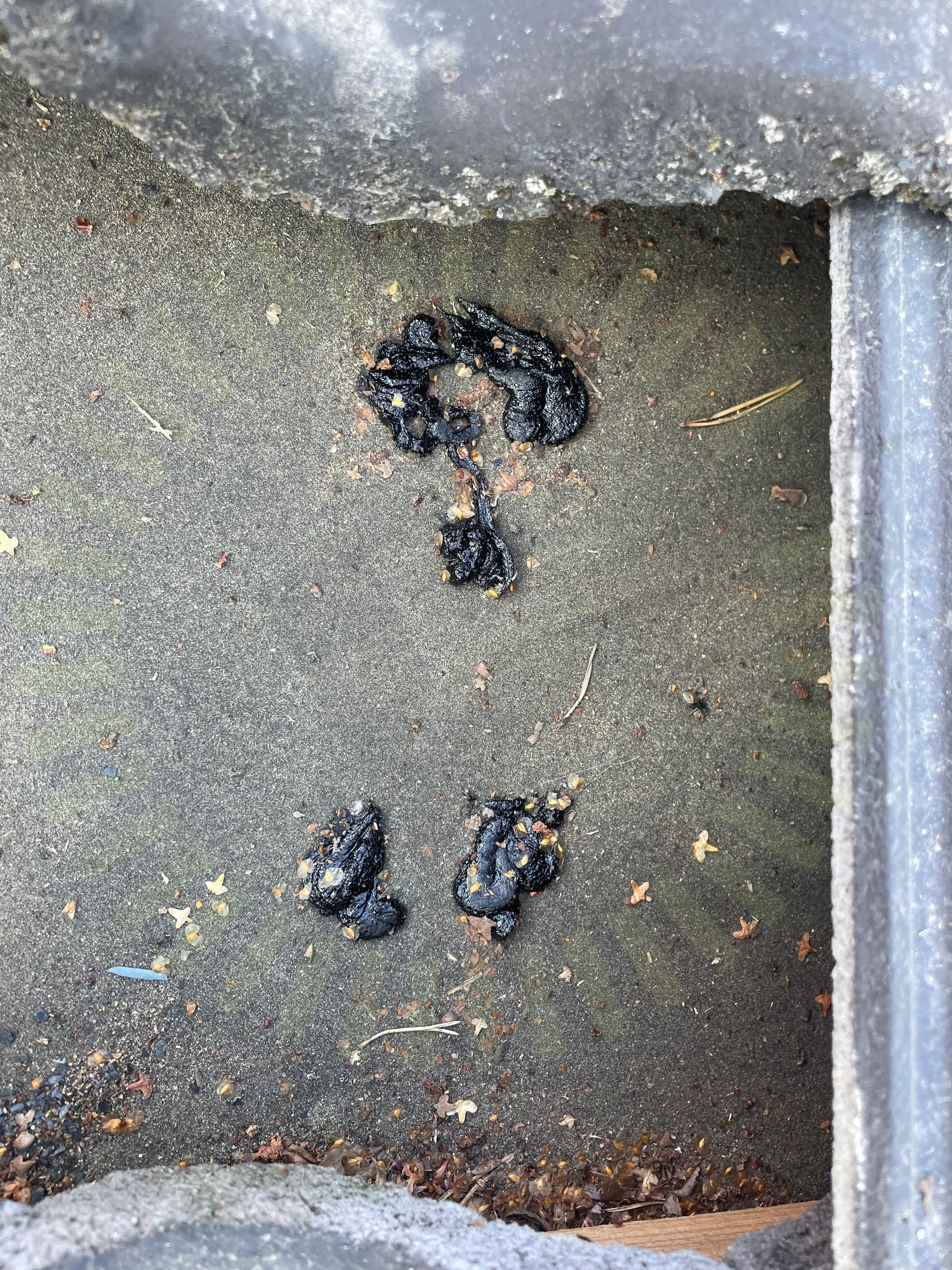 Tätning efter avlägsnande av takinfästning