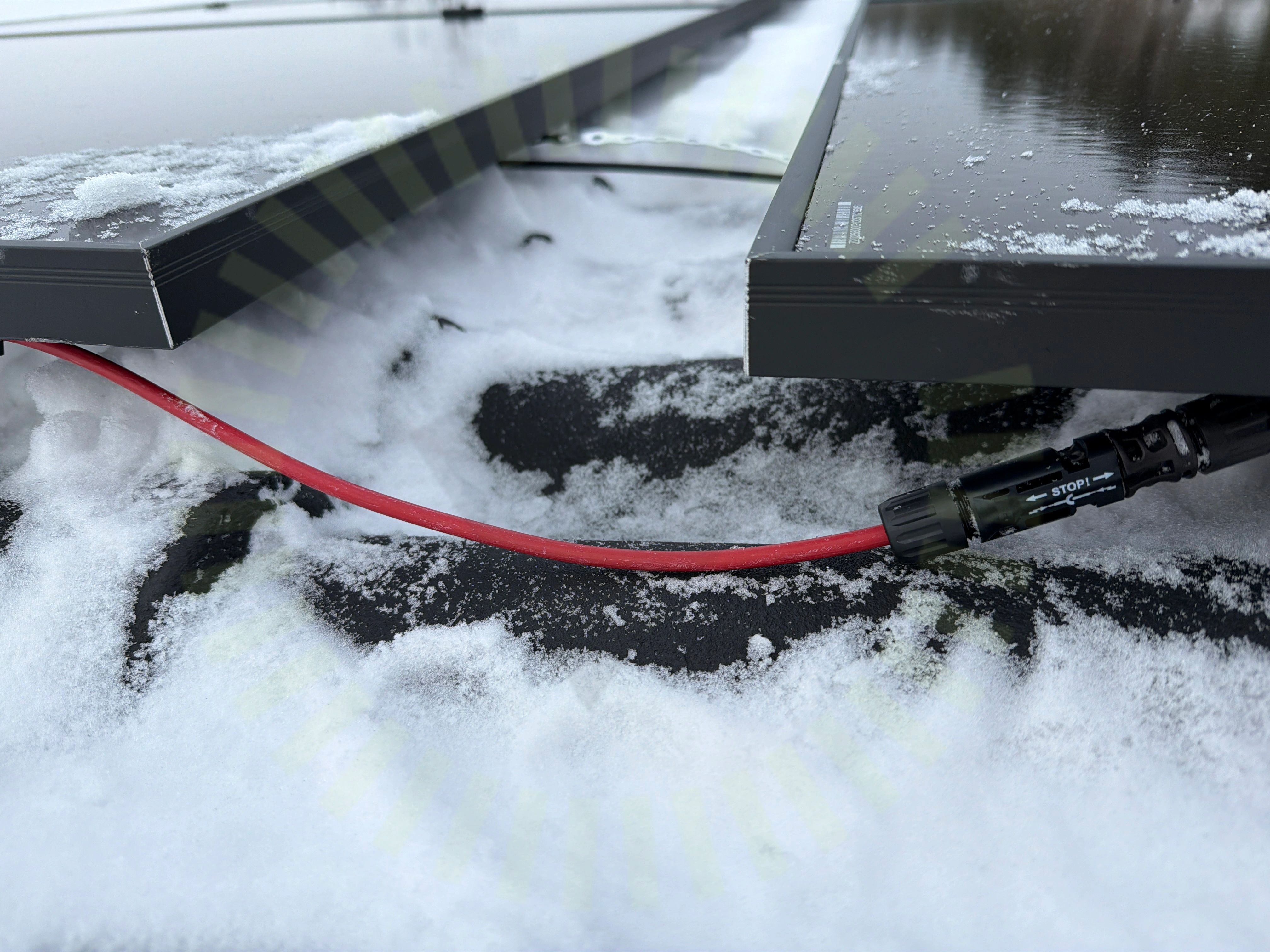Protokollbild