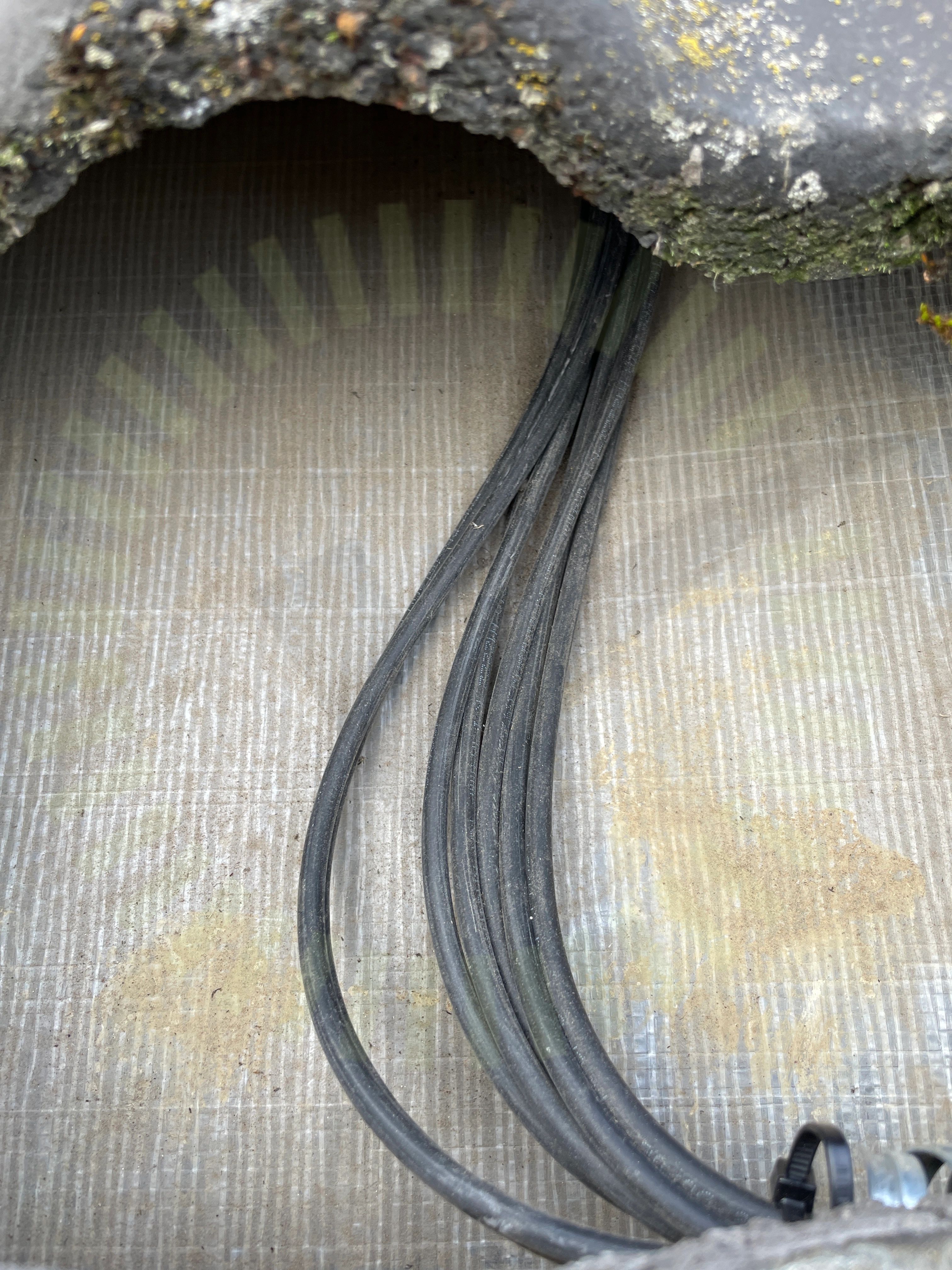Skydd