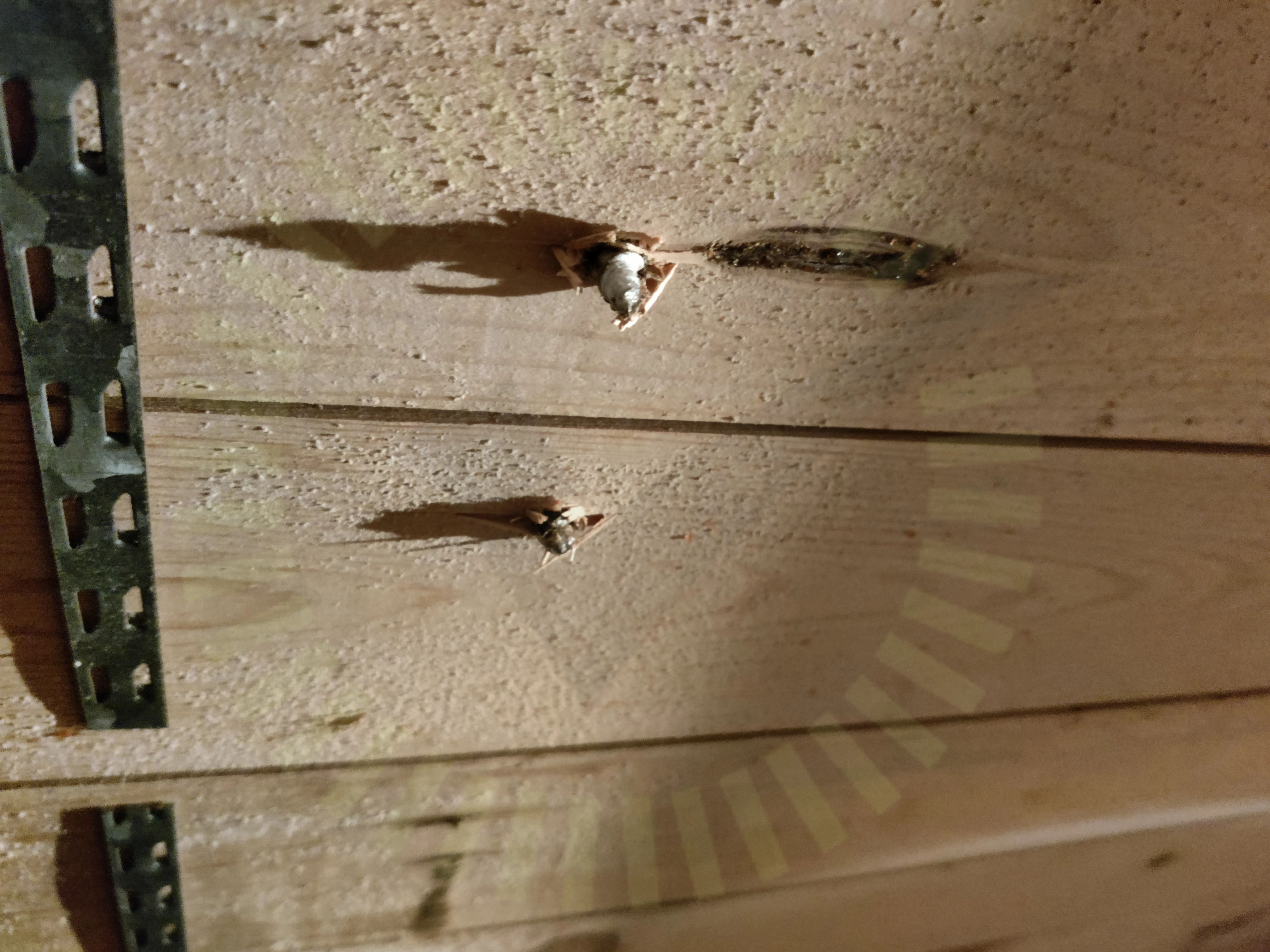 Betongkrok: Infästning