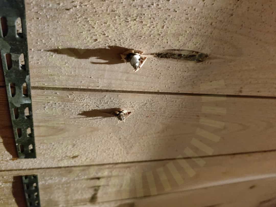 Betongkrok: Infästning